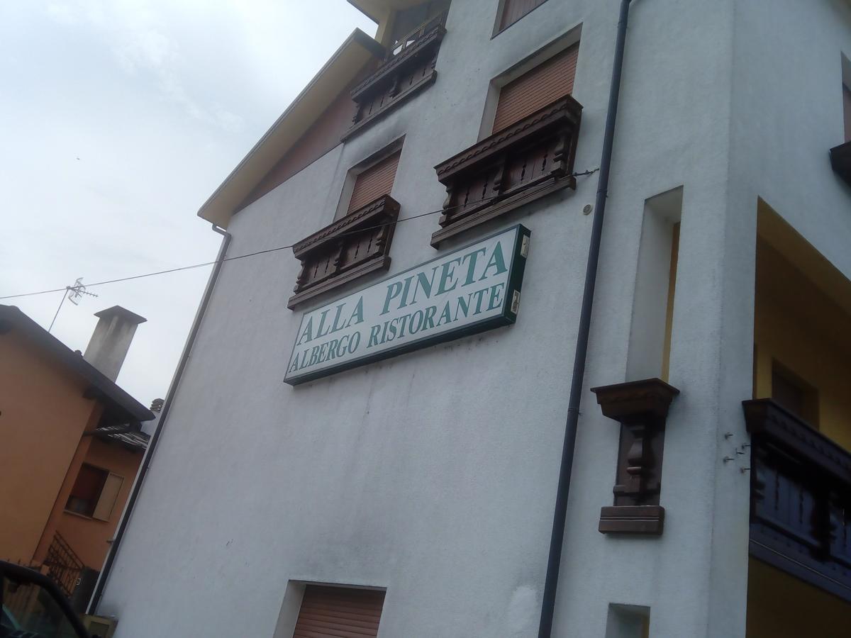 Albergo Alla Pineta Villa Santina Eksteriør bilde