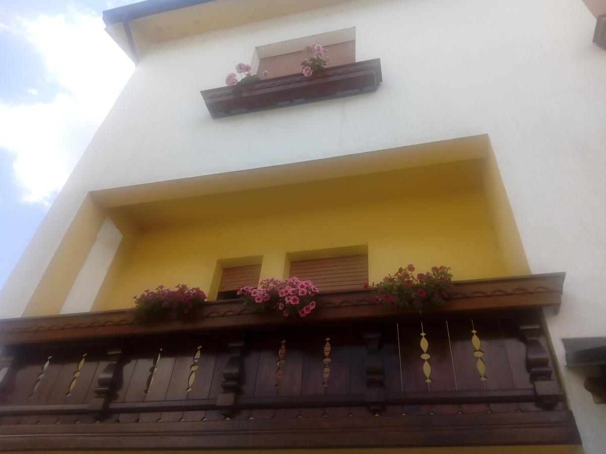 Albergo Alla Pineta Villa Santina Eksteriør bilde